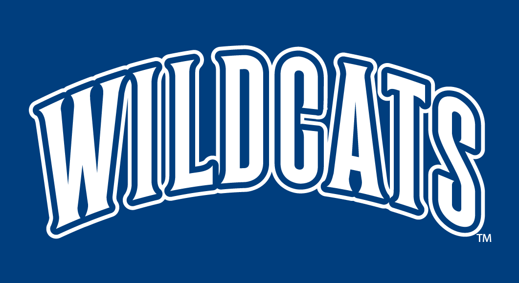 Villanova Wildcats 1996-Pres Wordmark Logo v2 iron on transfers for fabric